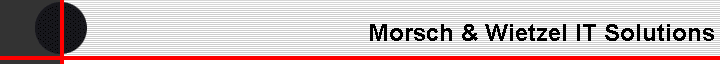 Morsch & Wietzel IT Solutions
